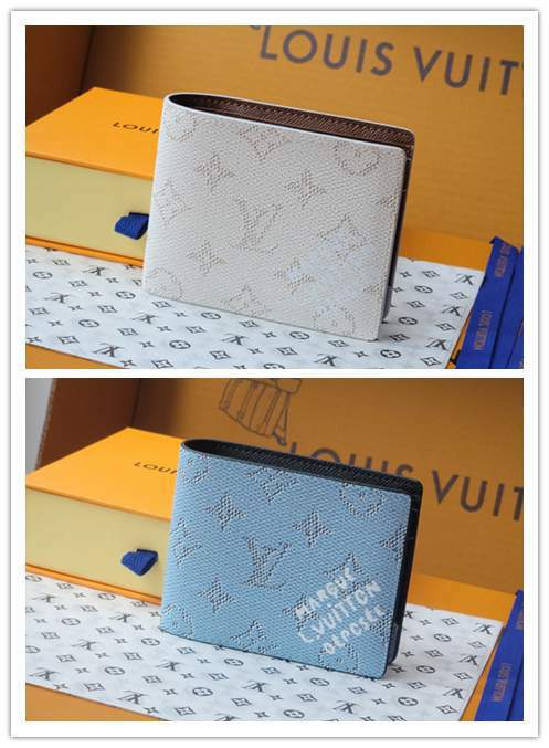 Picture of Louis Vuitton Wallets _SKUfw220045017fw